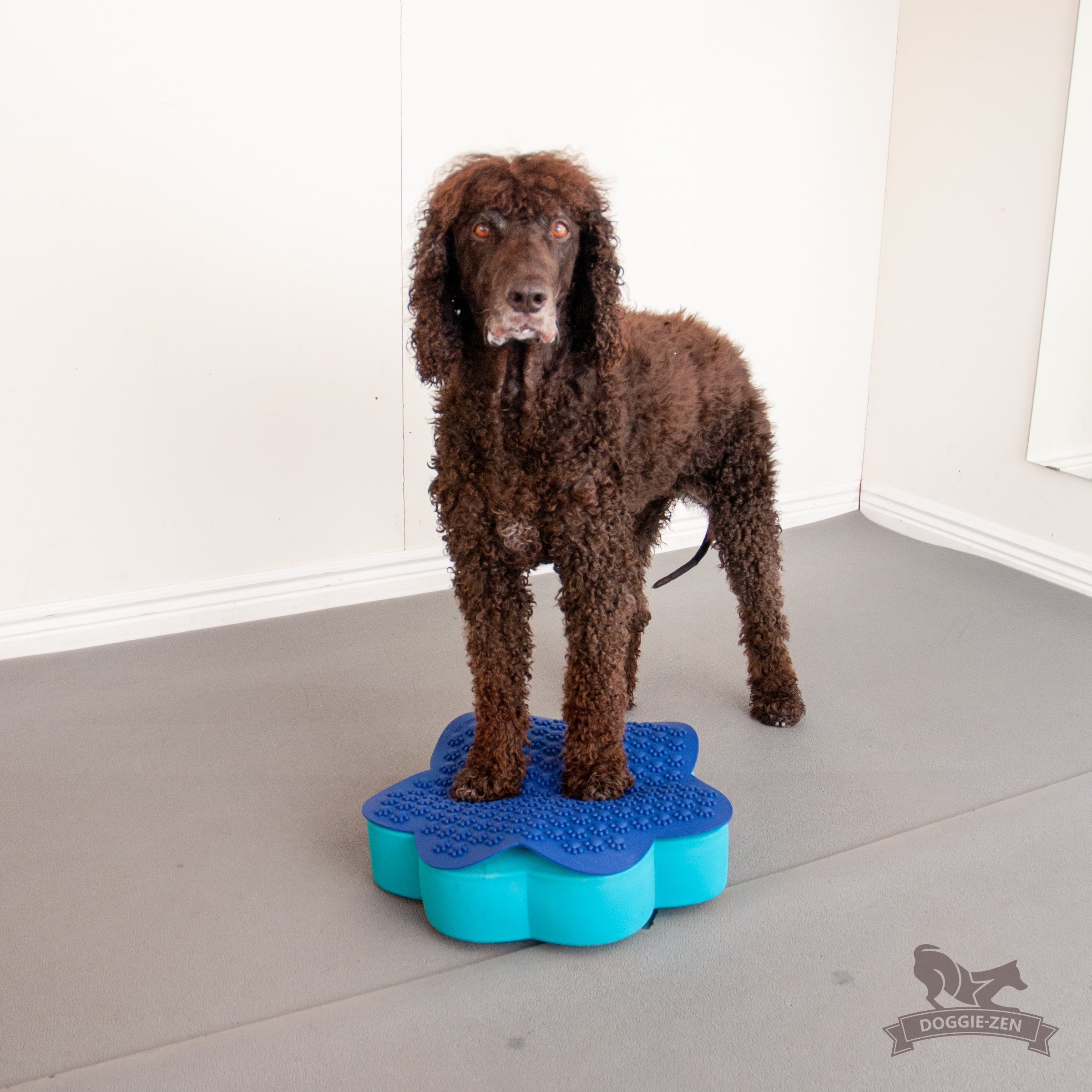 Flexiness® SensiMat Paw - 7