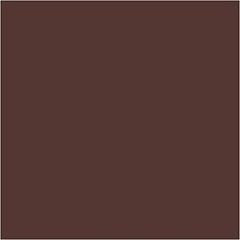 Cardstock A4 Brun 190gsm 10 ark släta
