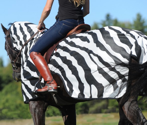 Bucas Buzz-Off Ratsastusloimi Zebra - 3