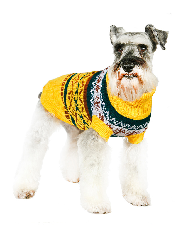Urban Pup Yellow Fair Isle Vintage Stickad Hundtröja Gul - 2