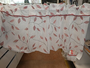 Abedul ljus botten med rosa löv