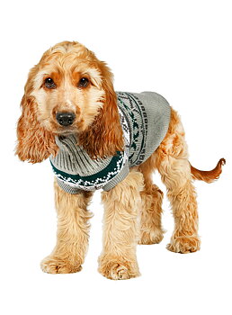 Urban Pup Grey Fair Isle Vintage Stickad Hundtröja Grå