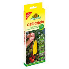 Flugfälla klisterskiva 21st