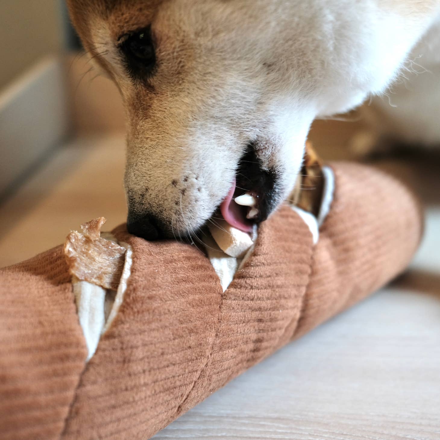 Lambwolf Baguette Toy  - 2
