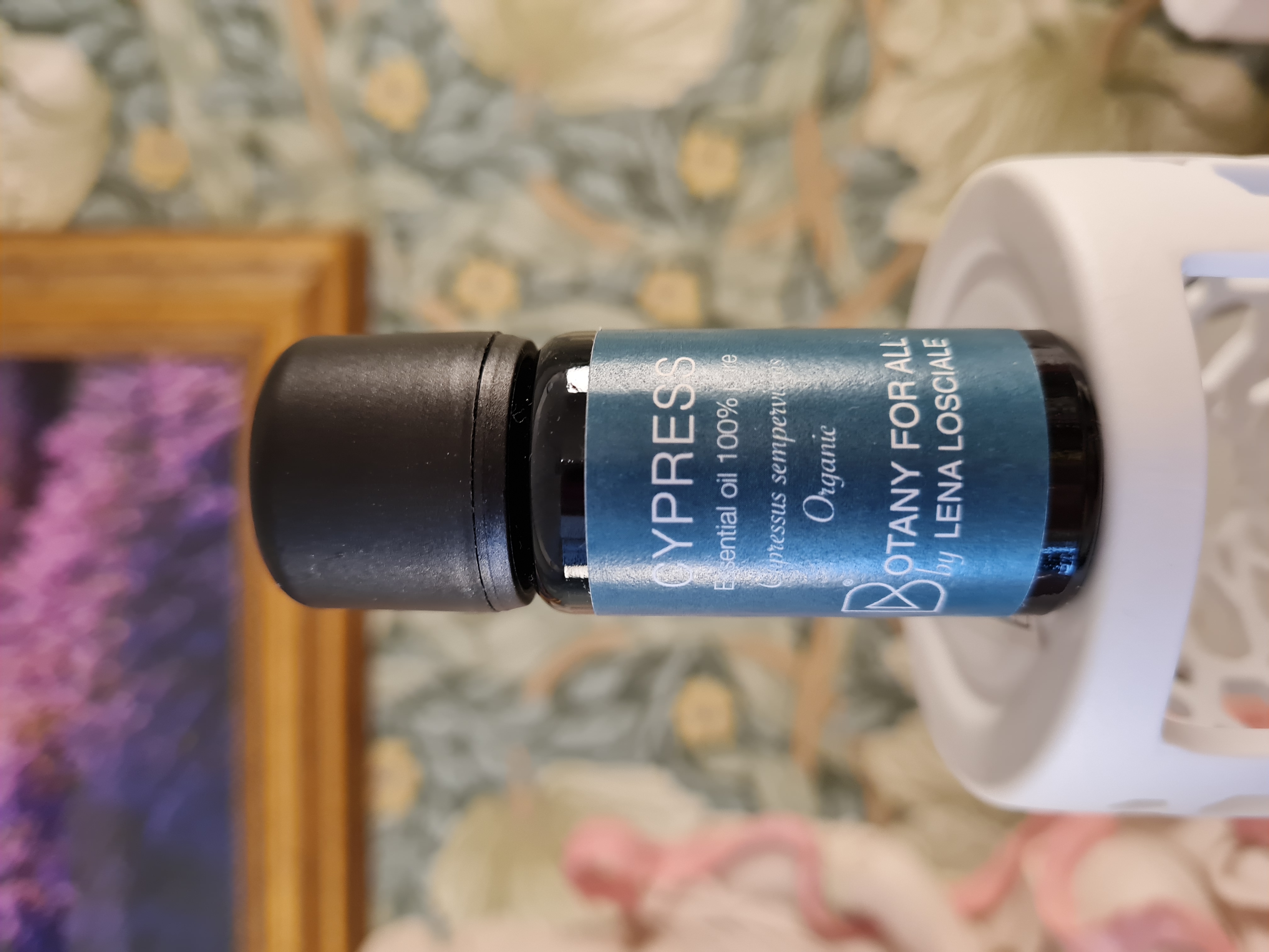 Cypress 10ml, Botany for All