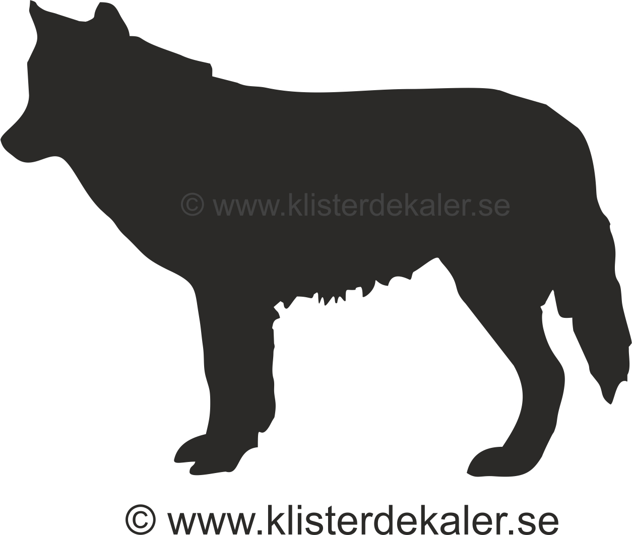 Bildekal Varg i profil