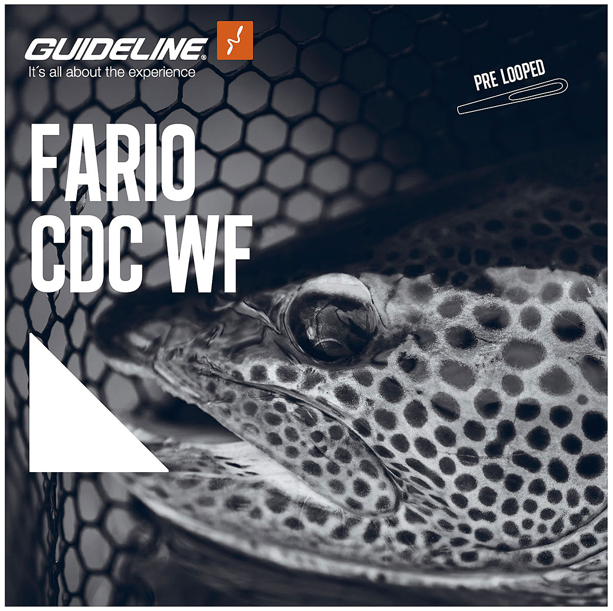Guideline Fario CDC WF Fluglina - 2