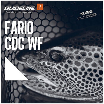 Guideline Fario CDC WF Fluglina