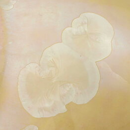 Isak Isaksson (2020) Unique Vase with Yellow Crystalline Glaze 8 cm