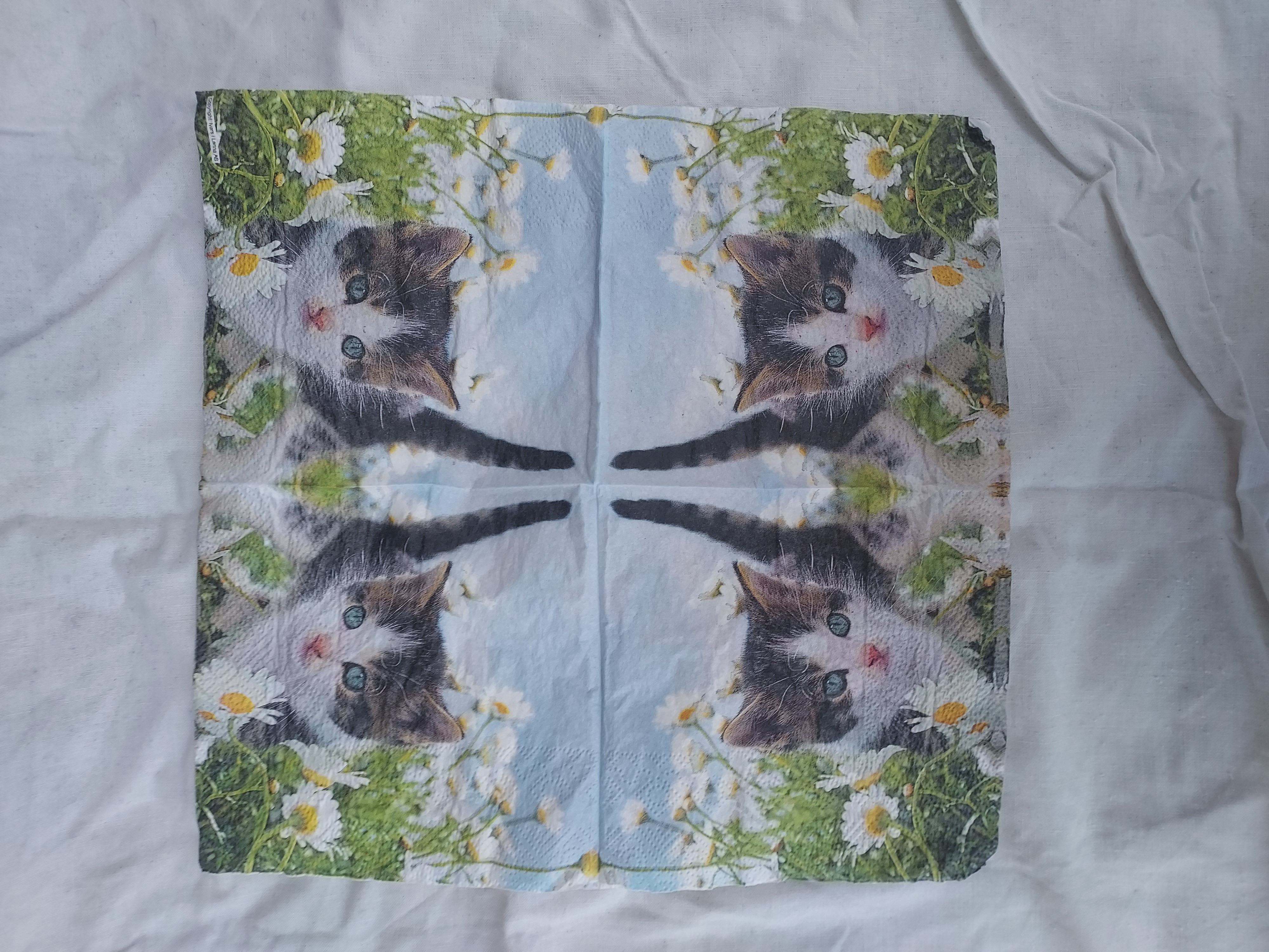 Servett med katt, 25x25cm