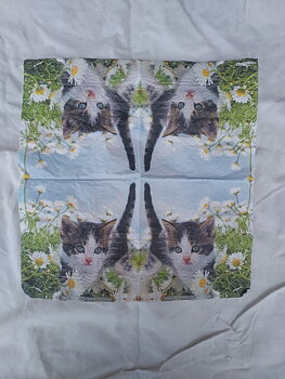 Servett med katt, 25x25cm