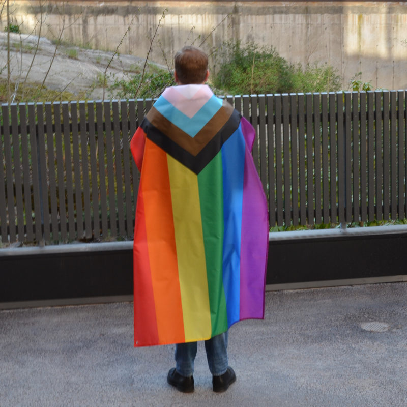 XL Progress Pride deluxe flag  - 4