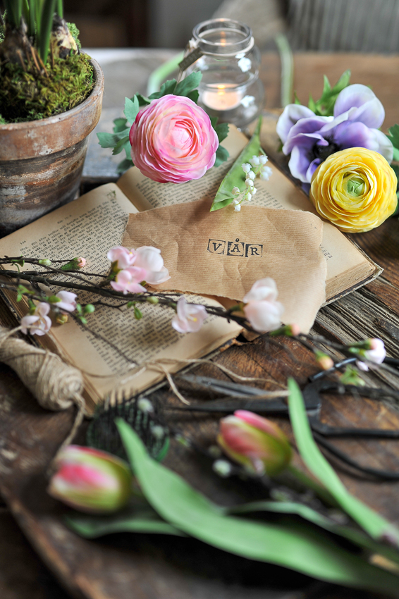 Ranunculus - Ranuncel - Twig - Pink - 50 cm - 4