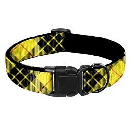 Designhalsband: Rob Roy