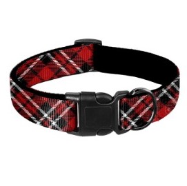Designhalsband: Scotty