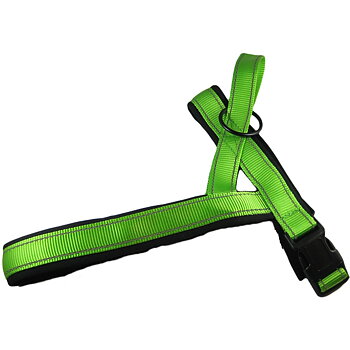 Spårsele reflex med neoprenliner, Grön