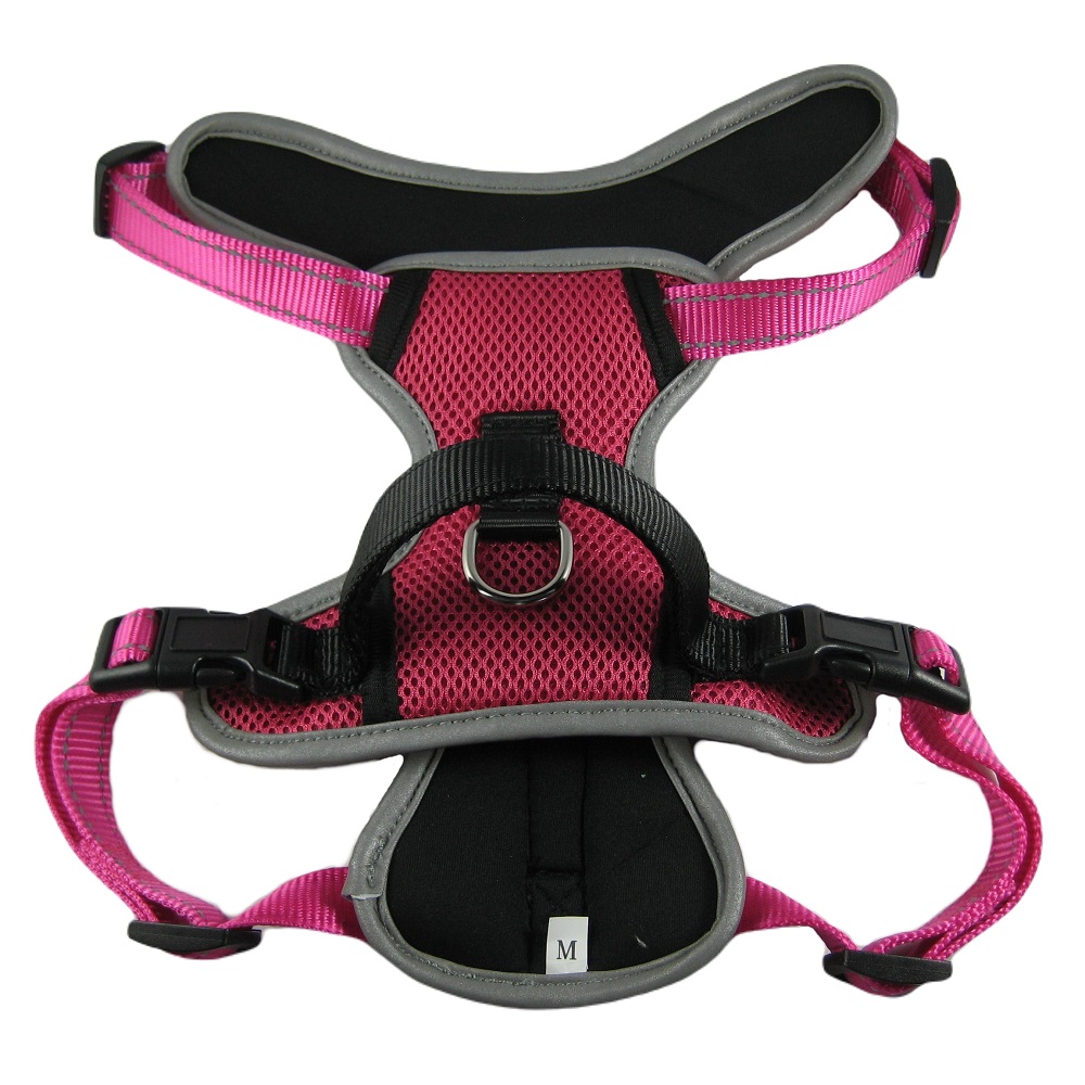 Allroundsele reflex, Rosa