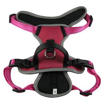 Allroundsele reflex, Rosa