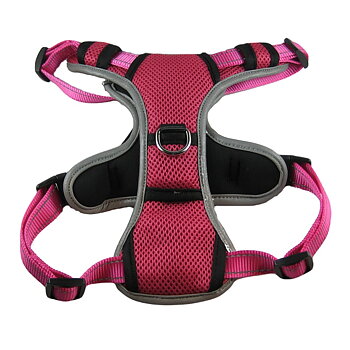 Allroundsele reflex, Rosa