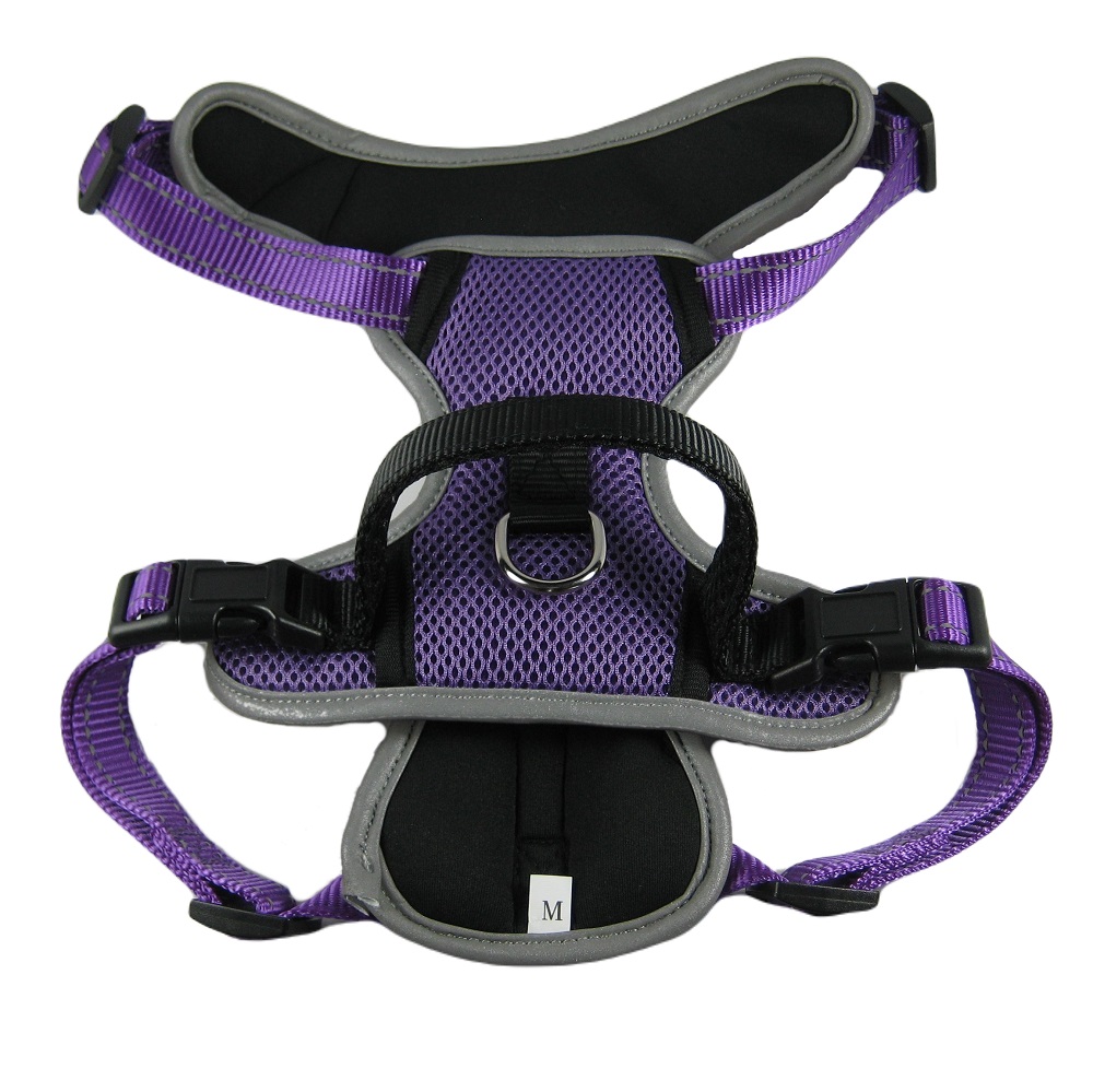 Allroundsele reflex, Lila