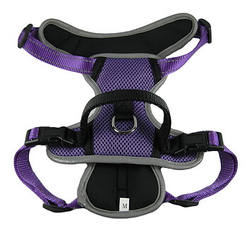 Allroundsele reflex, Lila
