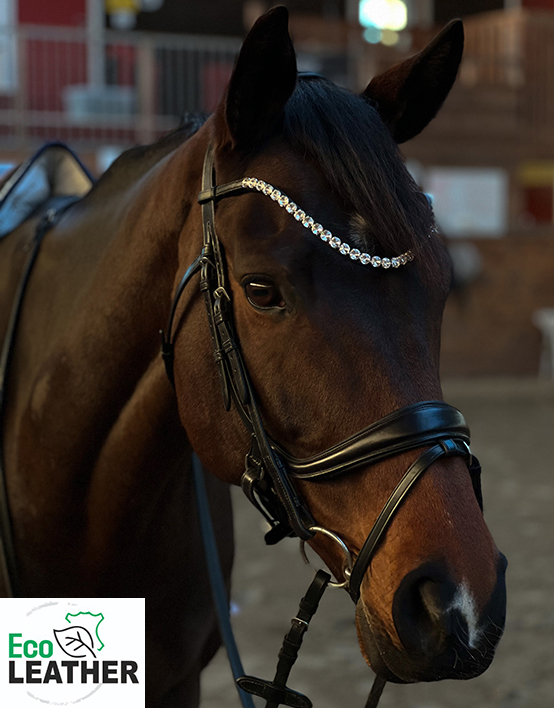 Browband horse silver