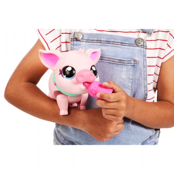 Little Live Pets Grisen Piggy - 4
