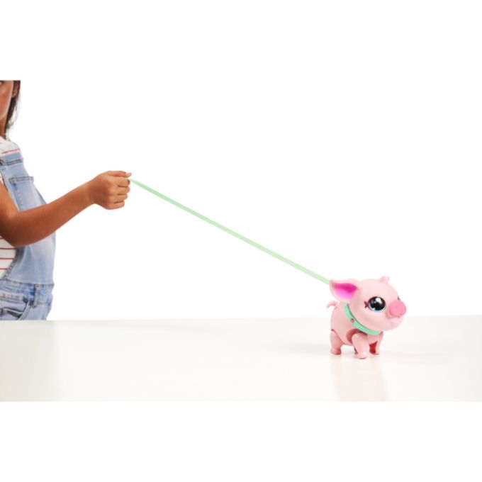 Little Live Pets Grisen Piggy - 3