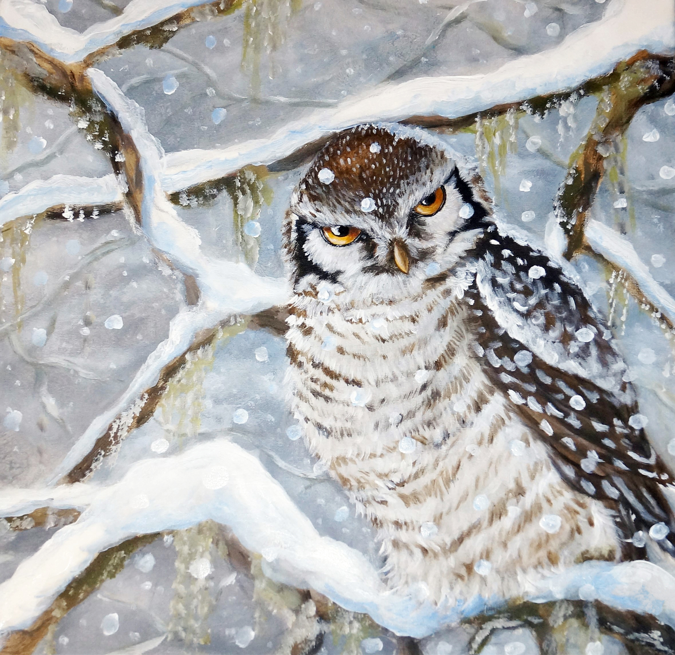 KORT MED KUVERT "VINTER - Hökuggla"