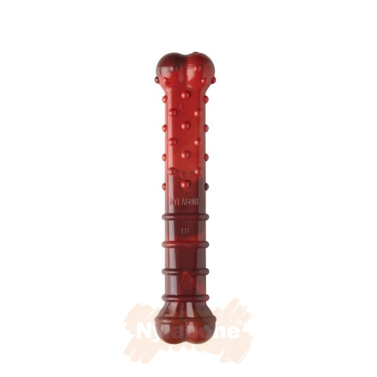 Nylabone Beef Jerky  Bone / L - 2