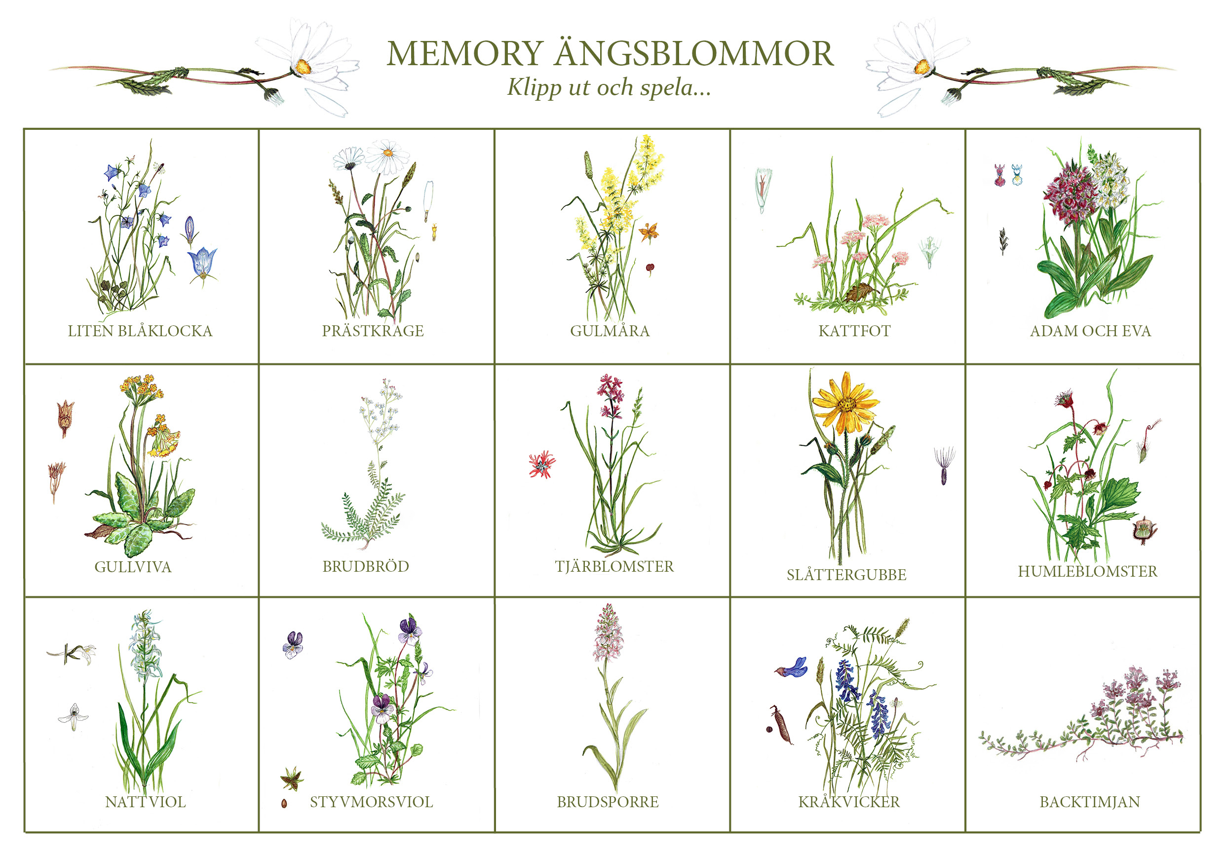 MEMORY "Ängsblommor" Två kort ingår!