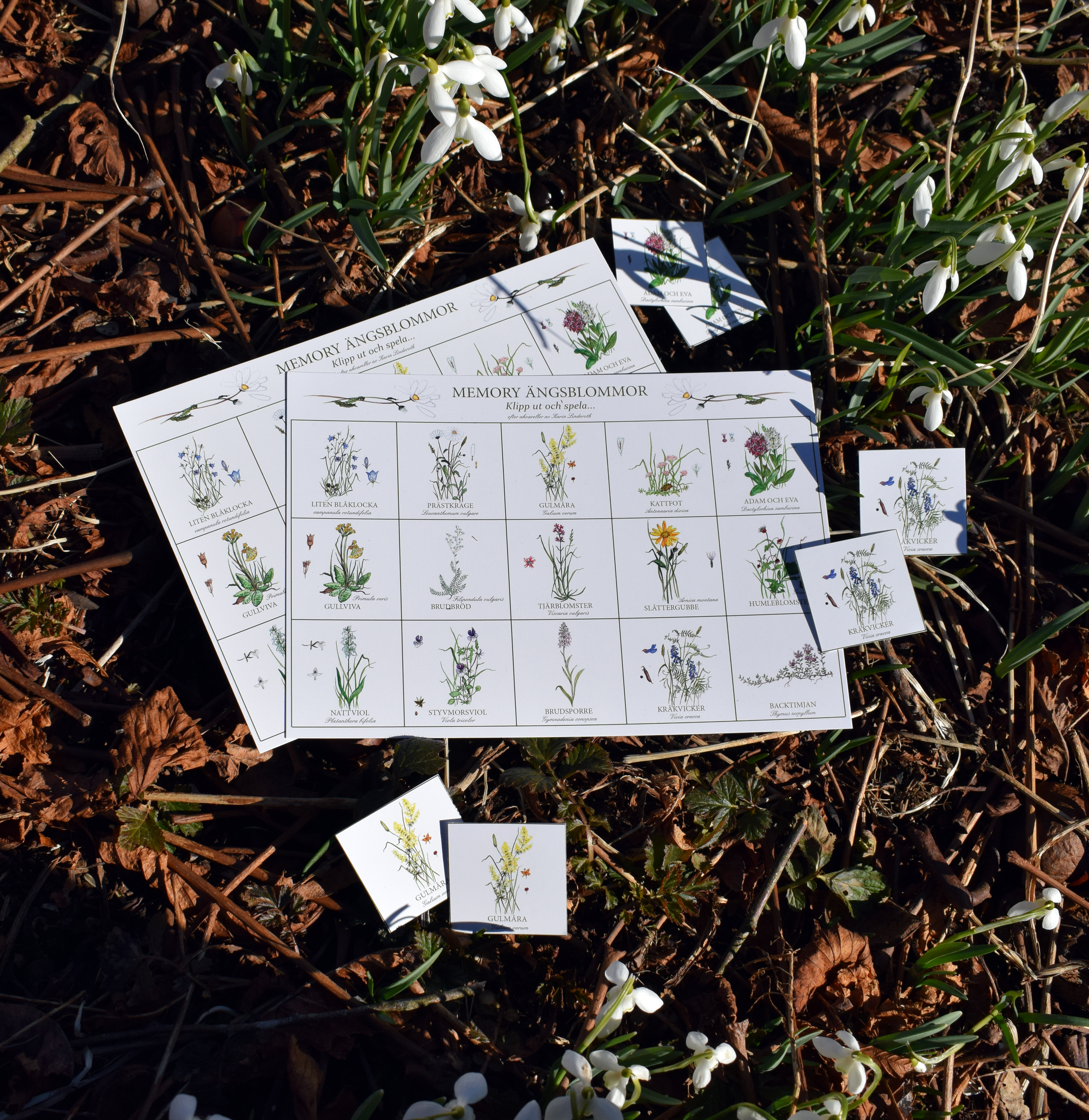 MEMORY "Ängsblommor" Två kort ingår! - 2