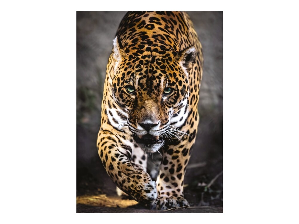 Clementoni Pussel Walk of the Jaguar, 1000 Bitar - 2