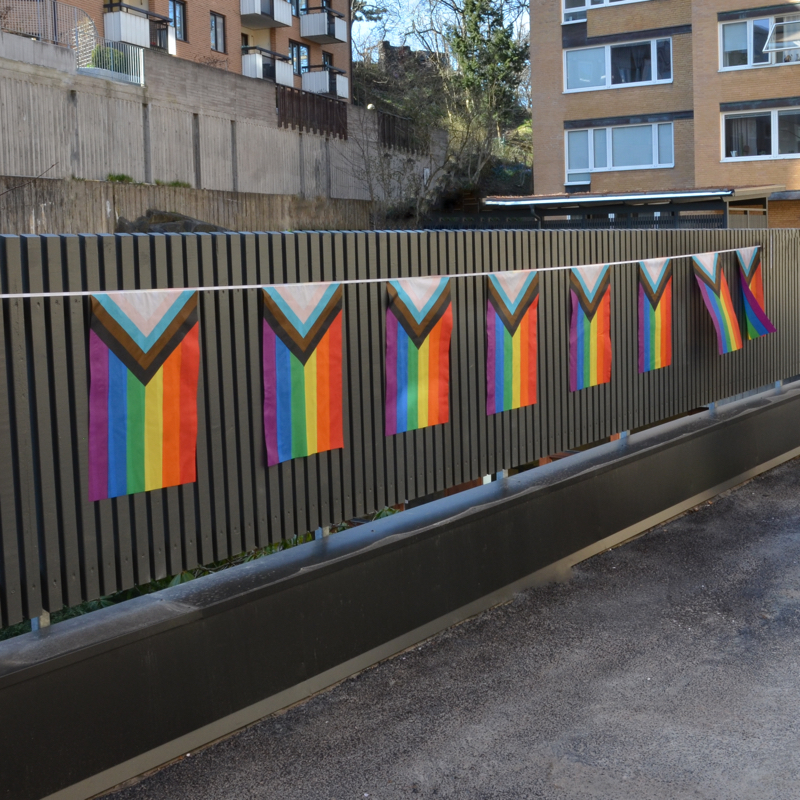 progress pride flag bunting