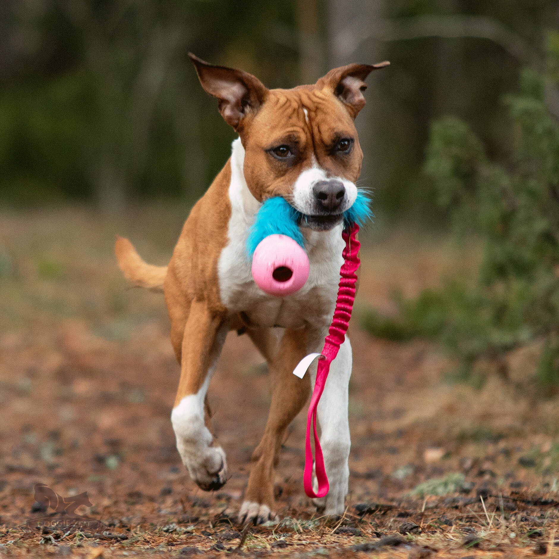 fake kong dog toy