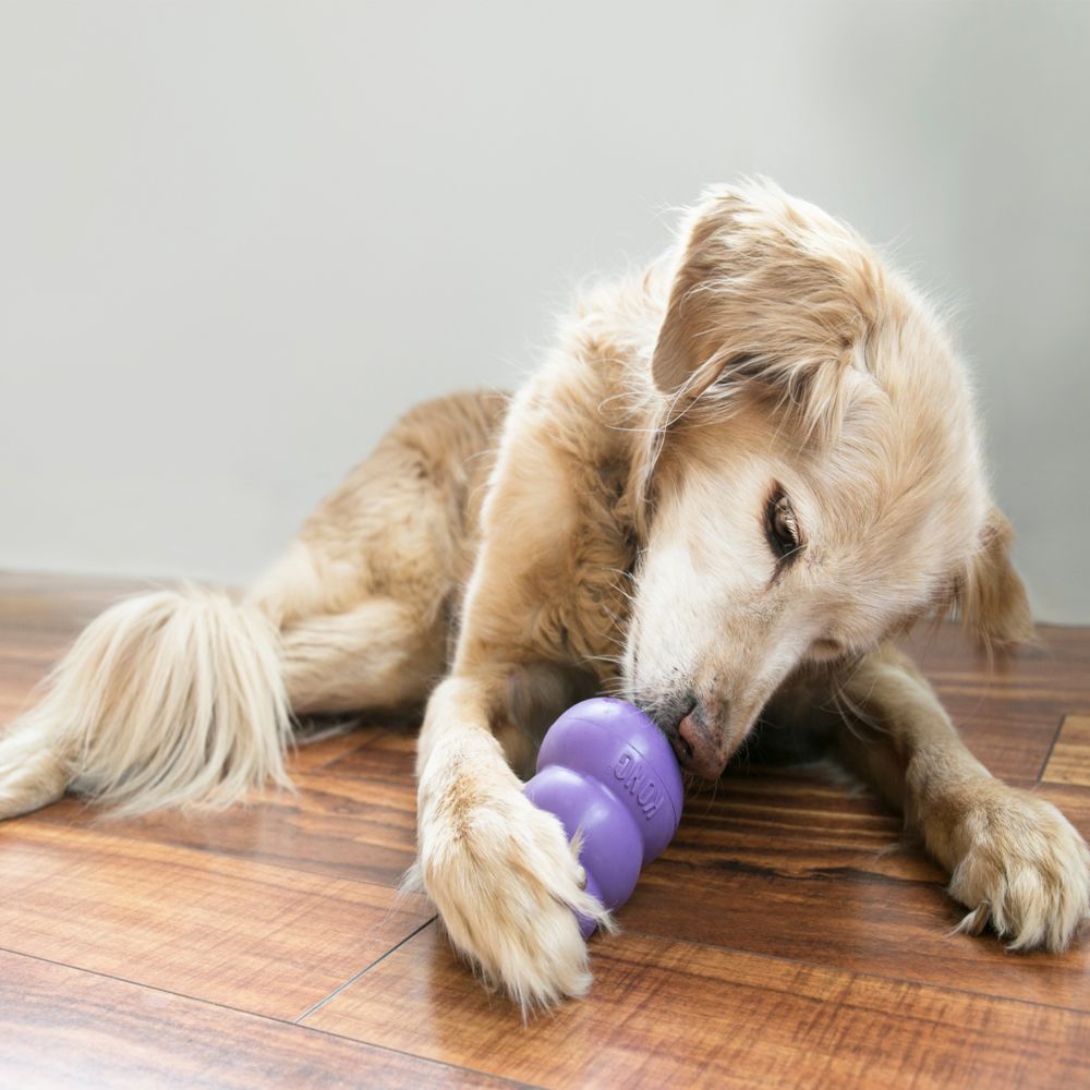 KONG Senior Dog Toy, Small