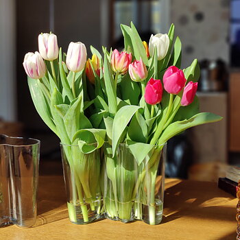 Savoy vas från Iittala