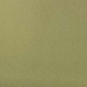 Cardstock Olive