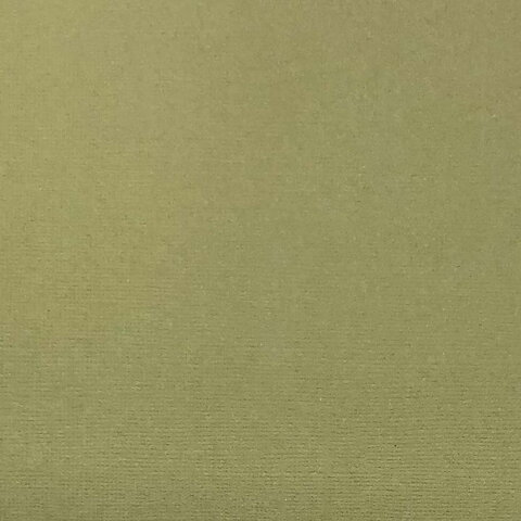 Cardstock Olive