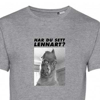 LENNART T-shirt grå Eko