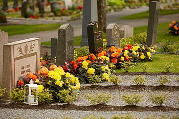 Blomlåda Emperi original 40x30