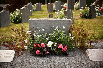 Blomlåda Emperi original 50x30