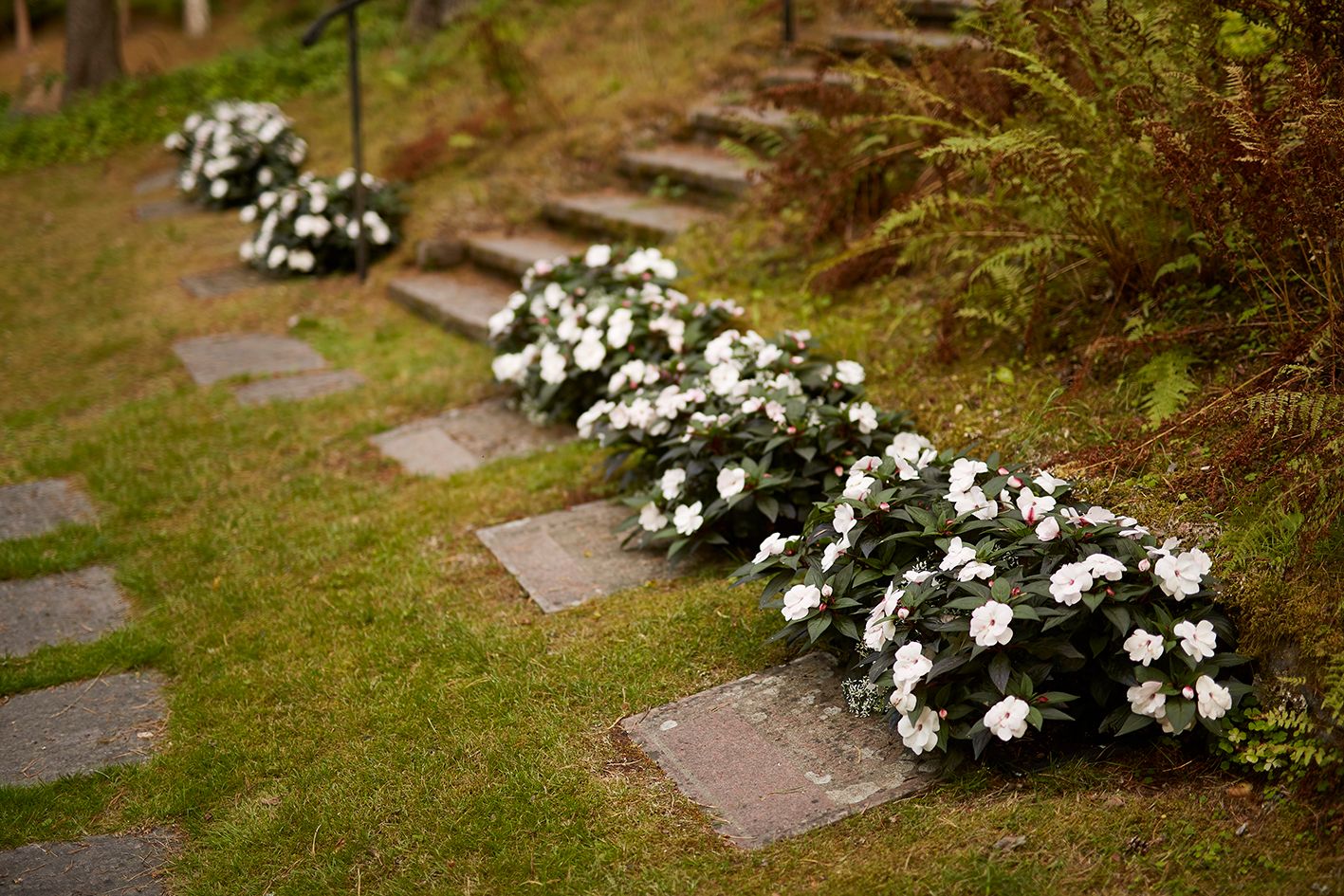 Blomlåda Emperi original 70x30