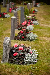 Blomlåda Emperi original 80x30