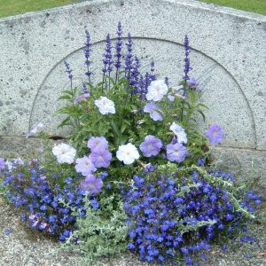 Blomlåda Emperi original 90x30