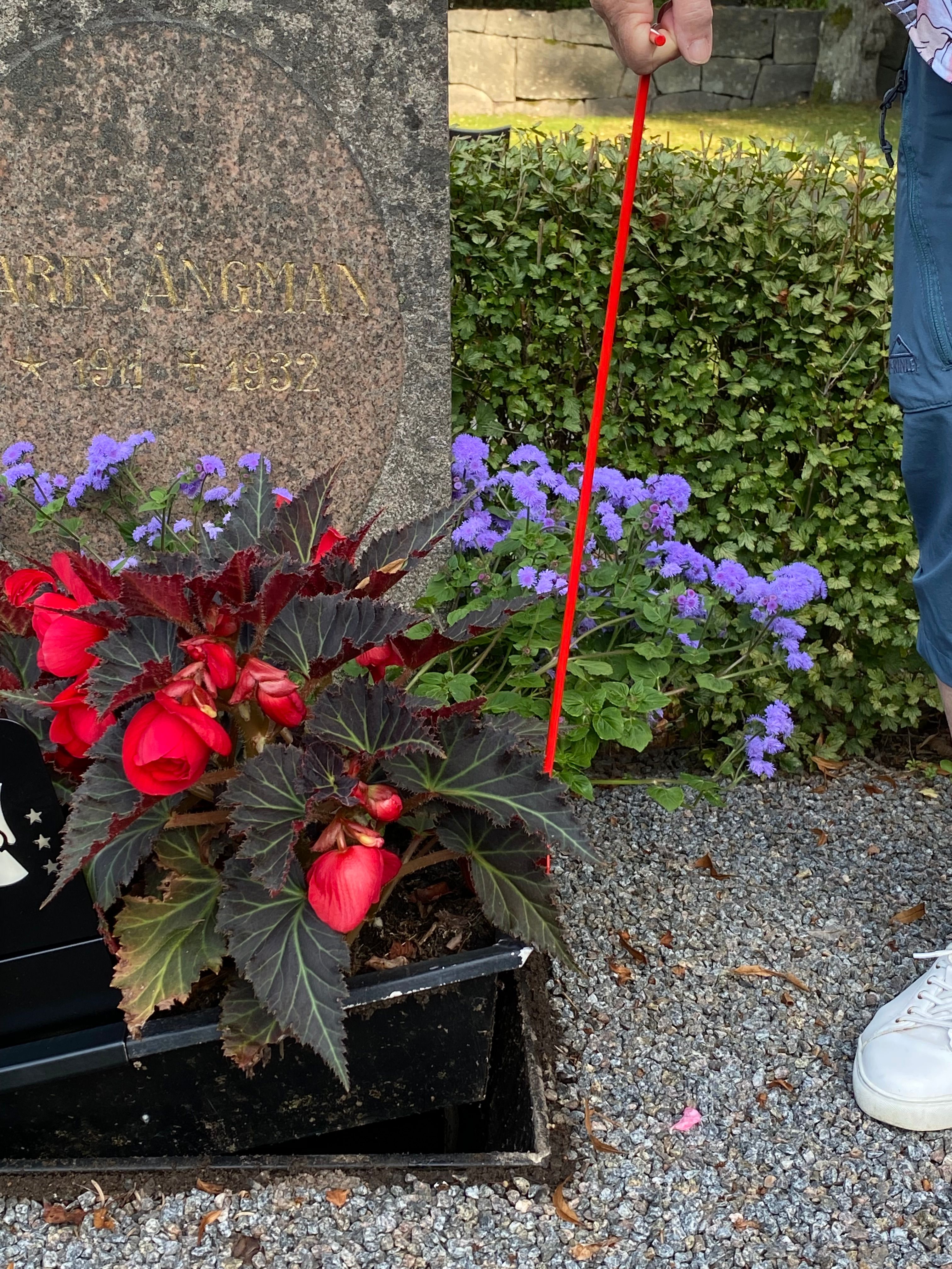 Lyfthandtag 50 cm Emperi - 2