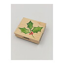 Hero Arts Rubber Stamps Second Hand - Watercolor Holly Solid