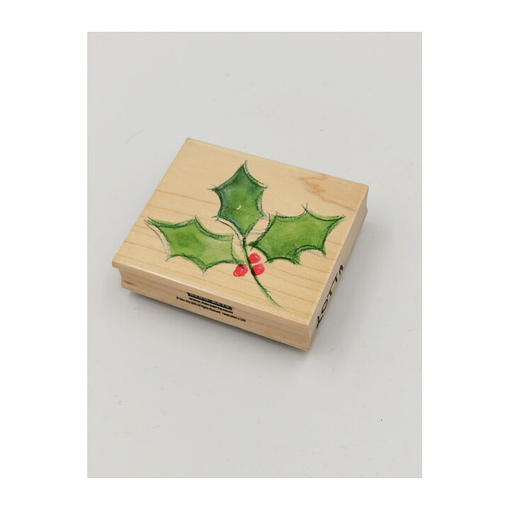 Hero Arts Rubber Stamps Second Hand - Watercolor Holly Solid