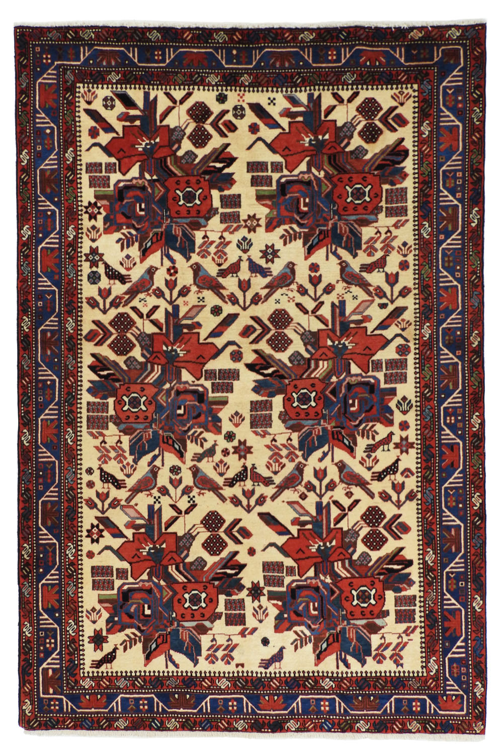 Afshar 161x244cm