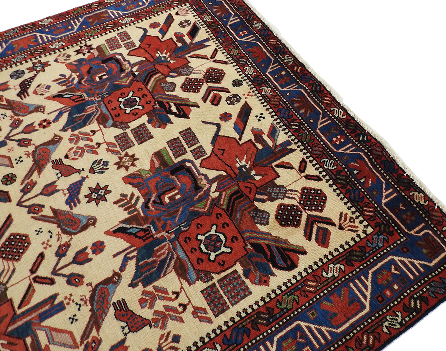 Afshar 161x244cm - 4